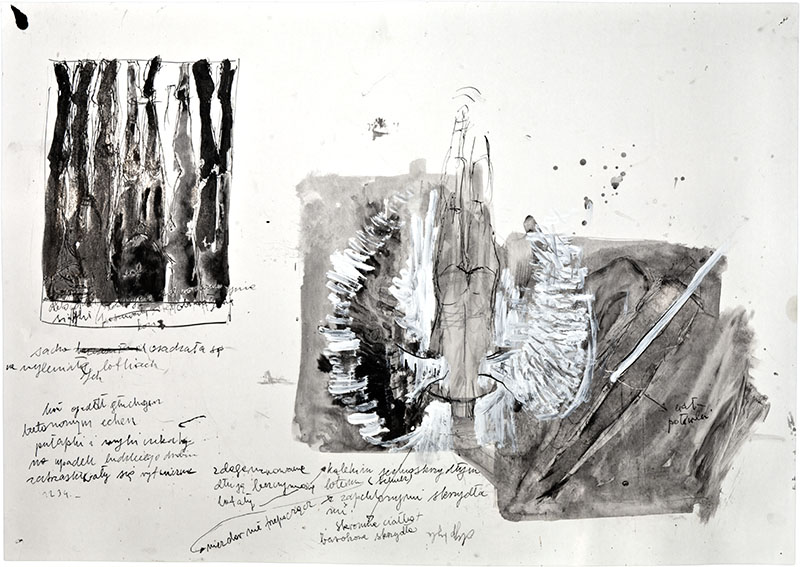 Karina Waschko, Anges 9, 2006, 50,6 x 72 cm, encre et acrylique sur carton