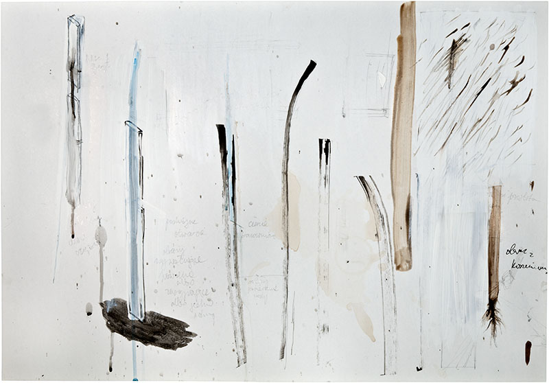 Karina Waschko, Autres dessins 9, 2010, 50 x 72 cm, encre et acrylique sur carton 