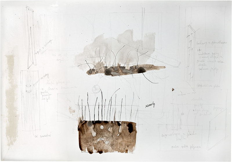 Karina Waschko, Bois 14, 2011, 50 x 72 cm, encre et acrylique sur carton 