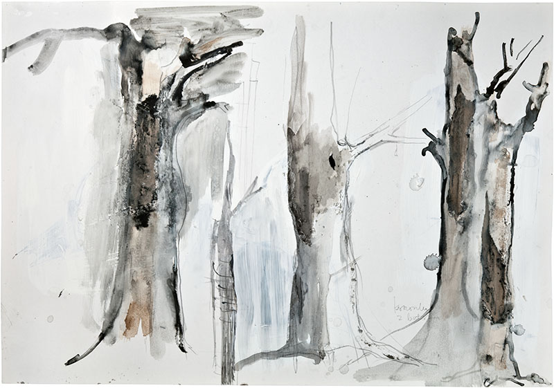 Karina Waschko, Bois 22, 2011, 50 x 71,8 cm, encre et acrylique sur carton 