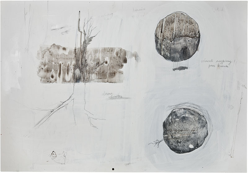 Karina Waschko, Bois 23, 2011, 50 x 71,8 cm, encre et acrylique sur carton 