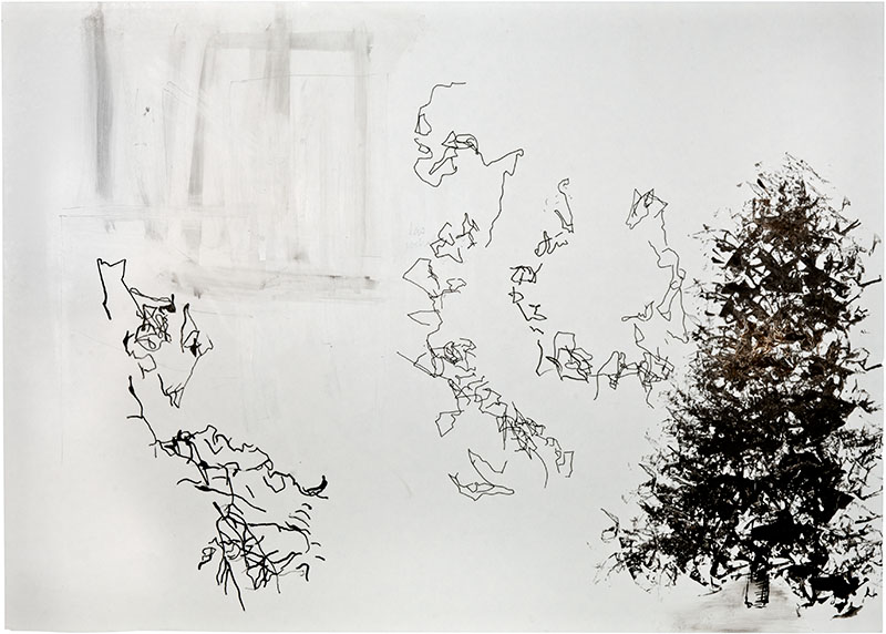 Karina Waschko, Bois 26, 2011, 50 x 70 cm, encre et acrylique sur carton 