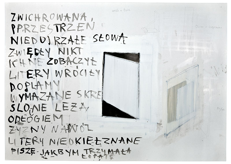 Karina Waschko, Écritures 2, 2011, 50 x 70 cm, encre et acrylique sur carton