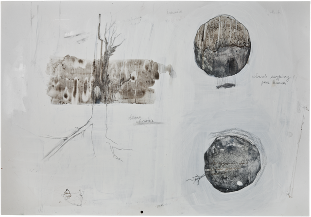 Bois 23, 2011, 50 x 71,8 cm, encre et acrylique sur carton
