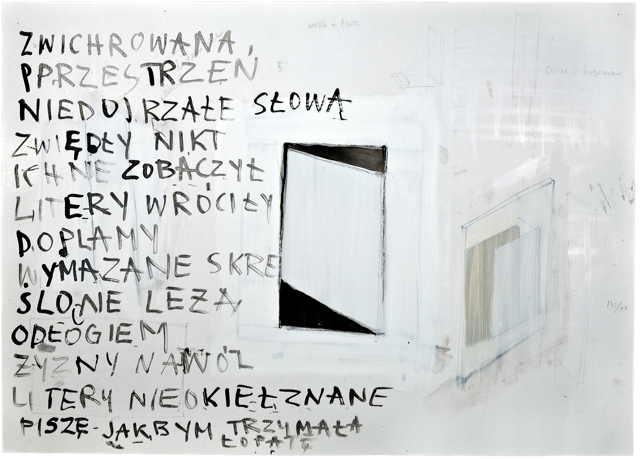 Écritures 2, 2011, 50 x 70 cm, encre et acrylique sur carton