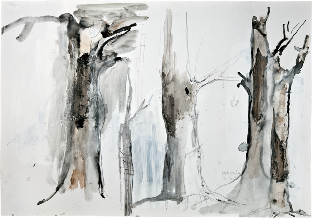 Bois 22, 2011, 50 x 71,8 cm, encre et acrylique sur carton